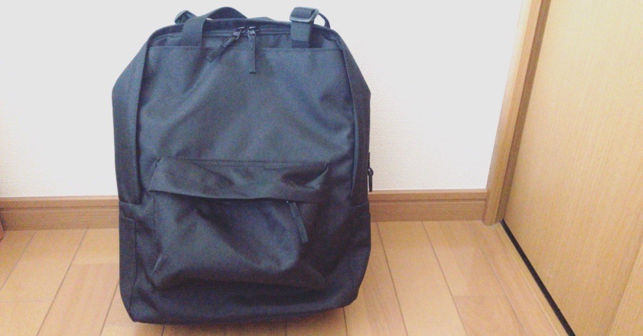 子供向けだけど大人にもぴったり! 手提げとしても使える